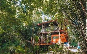 Cabana do Tarzan na Praia de Parati Mirim